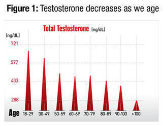Weider Prime Testosterone